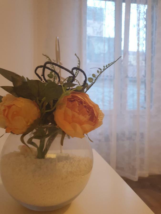 Stella Apartment Sibenik Charm&History United Esterno foto